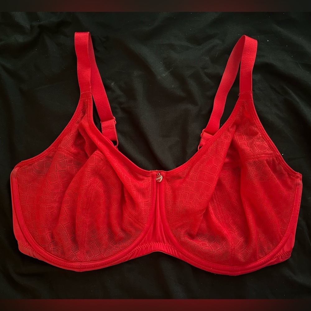 38H Enora Minimizer Bra